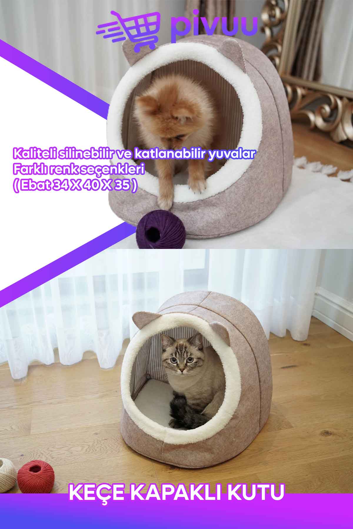 KEDİ KÖPEK EVİ